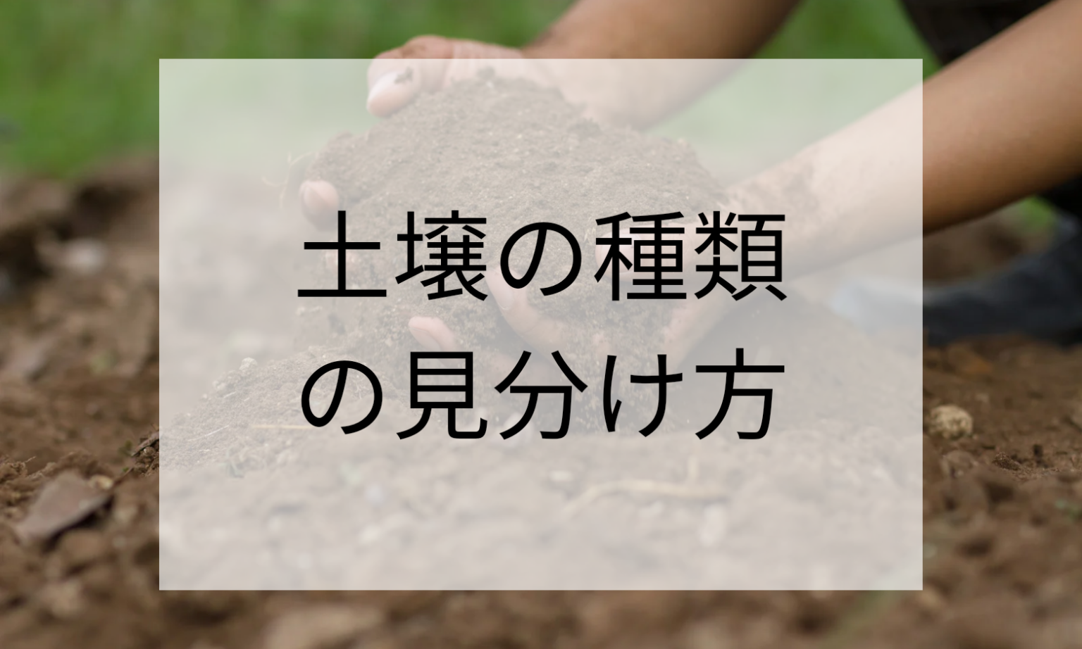 土壌の種類の見分け方 | 土壌ワークス
